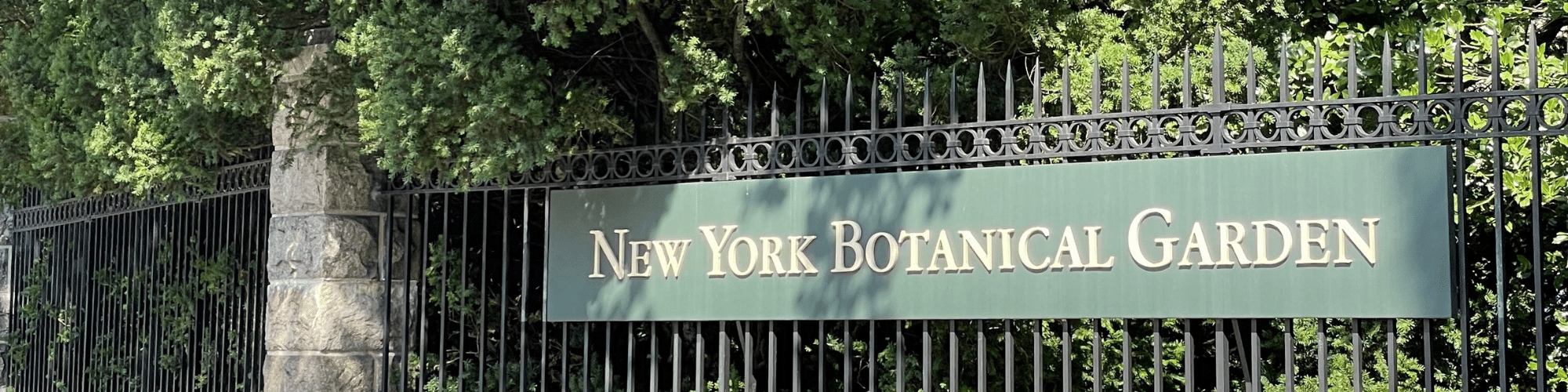 Jardín Botánico de Nueva York: todo lo que tenés que saber